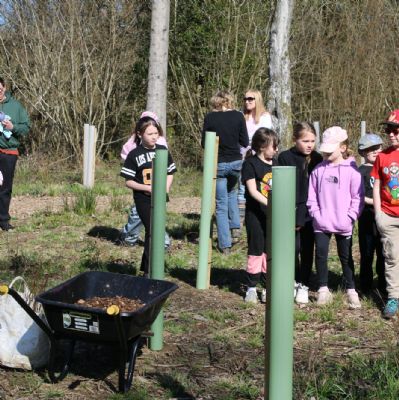 Yr3 Final Tree Planting at Westonbirt